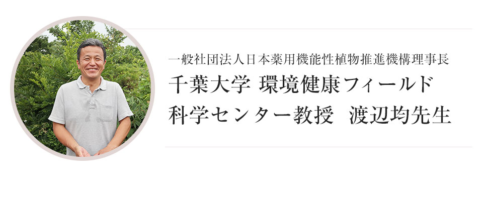一般社団法人日本薬用機能性植物推進機構理事長 千葉大学
園芸研究家 環境健康フィールド科学センター教授