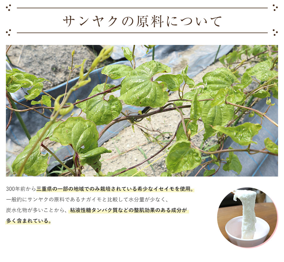 サンヤクの原料について