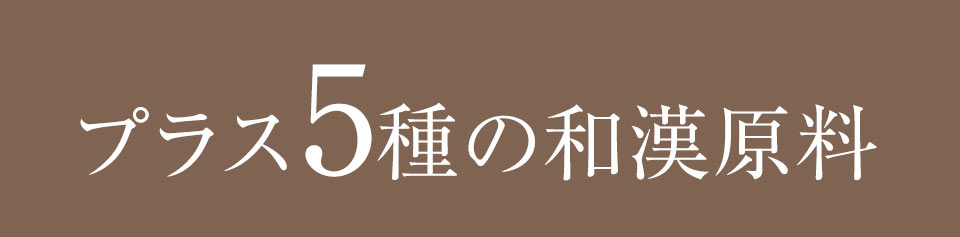プラス5種の和漢原料