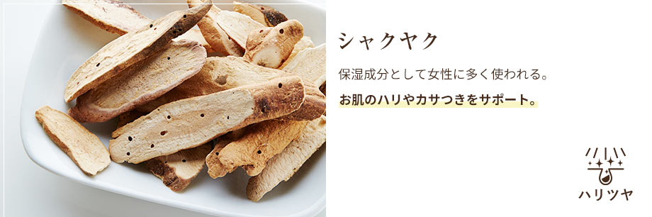 シャクヤク